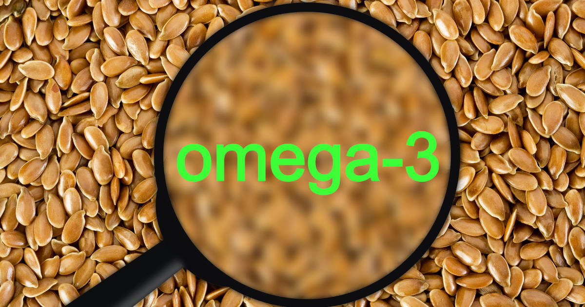 top 10 jídel omega3